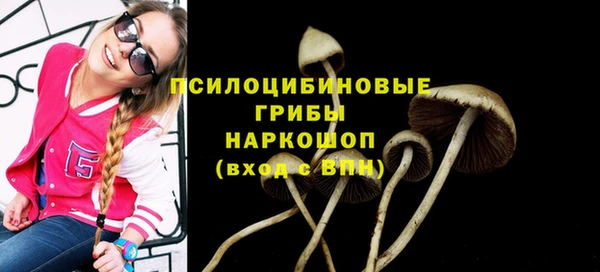 мяу мяу мука Навашино