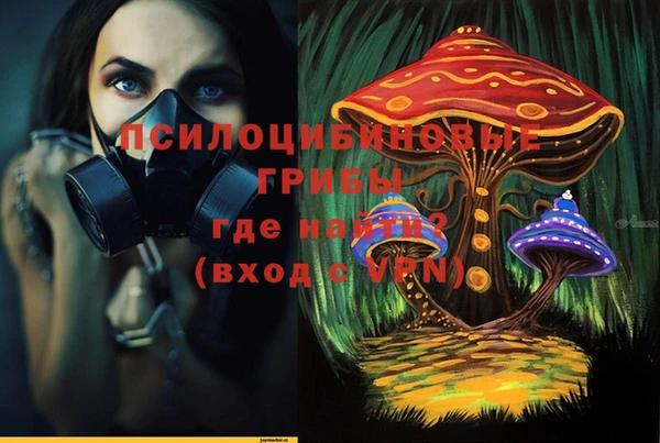 крисы Наволоки