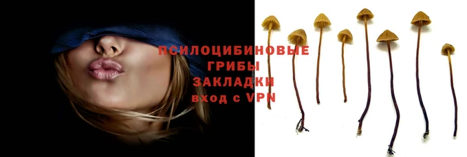 мяу мяу мука Навашино