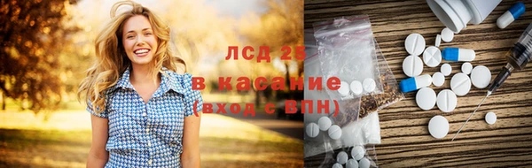 крисы Наволоки