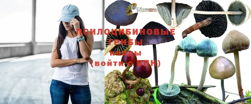 Псилоцибиновые грибы Magic Shrooms Биробиджан